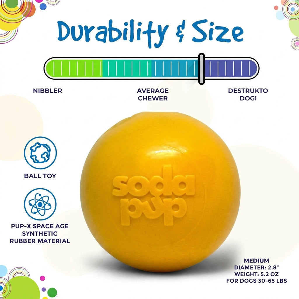 Squeaky Dog Toy