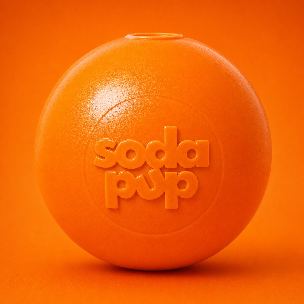 Squeaky Dog Toy