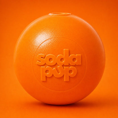 Squeaky Dog Toy