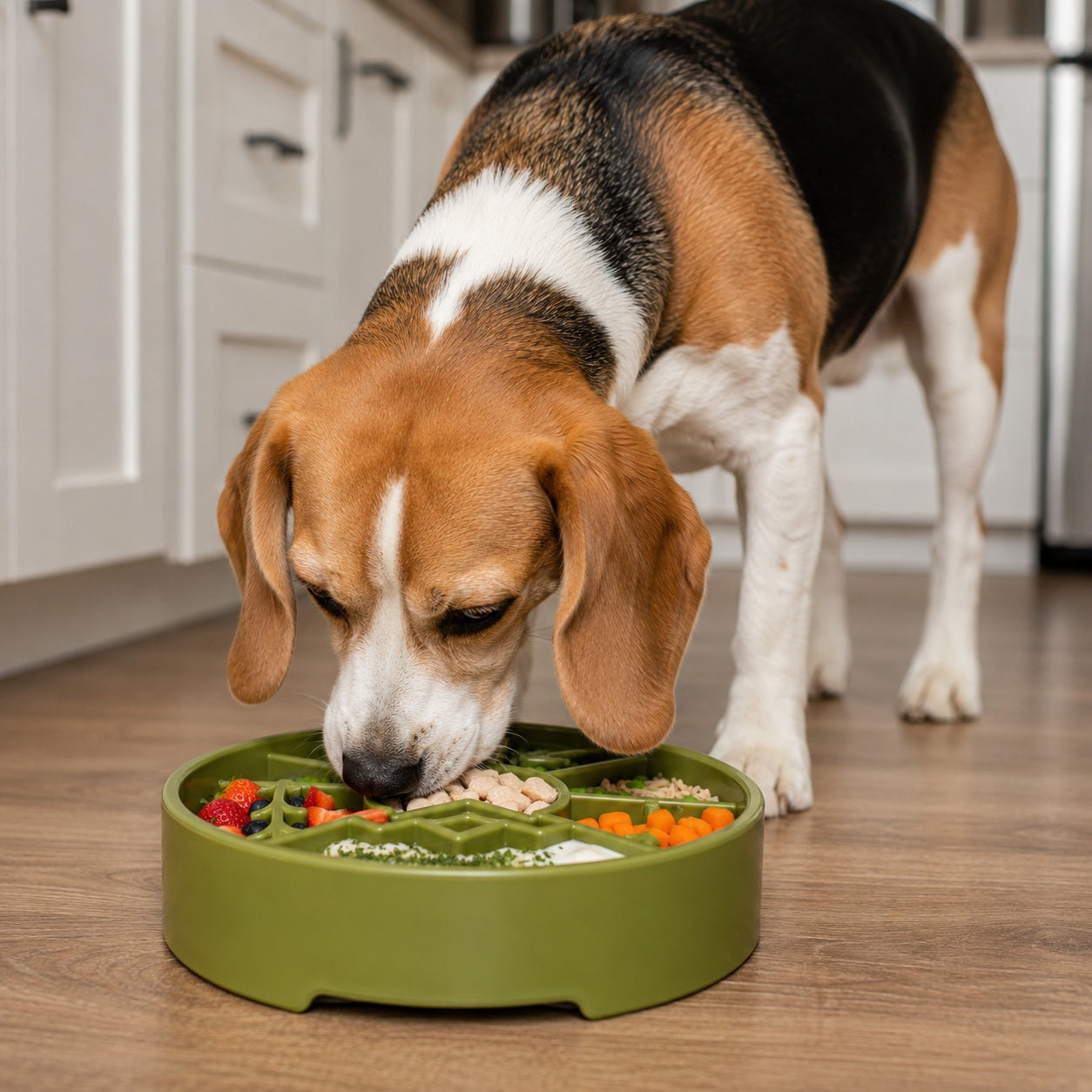 Slow Feeder Dog Bowl