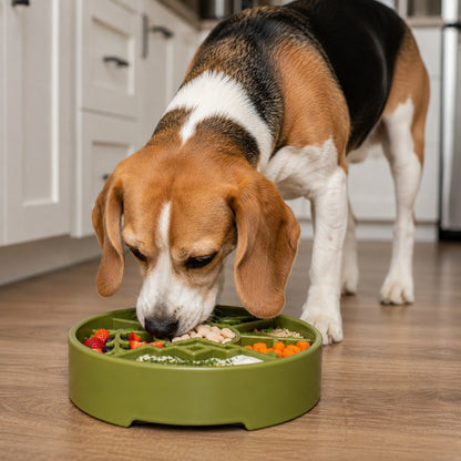 Slow Feeder Dog Bowl