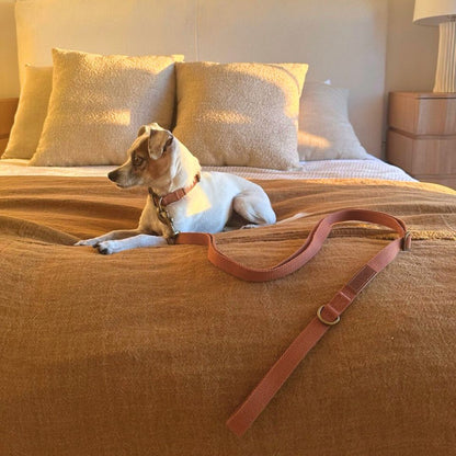 Hemp Cotton Dog Leash