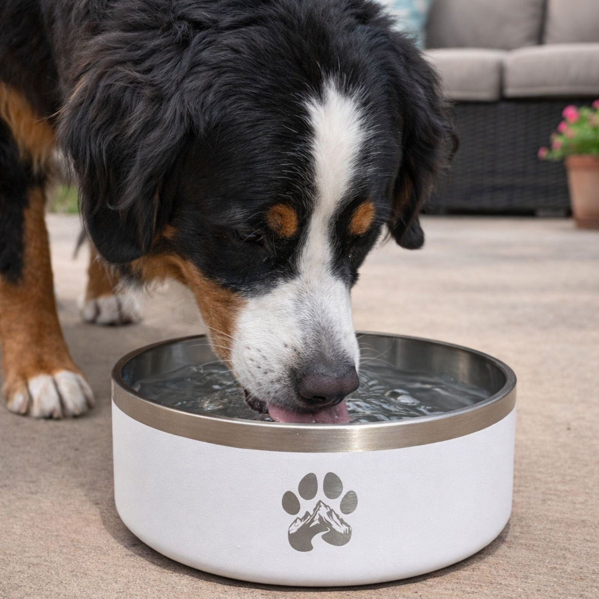 Non-Slip Dog Bowl