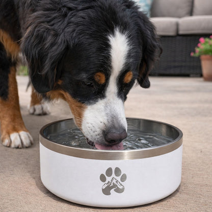 Non-Slip Dog Bowl