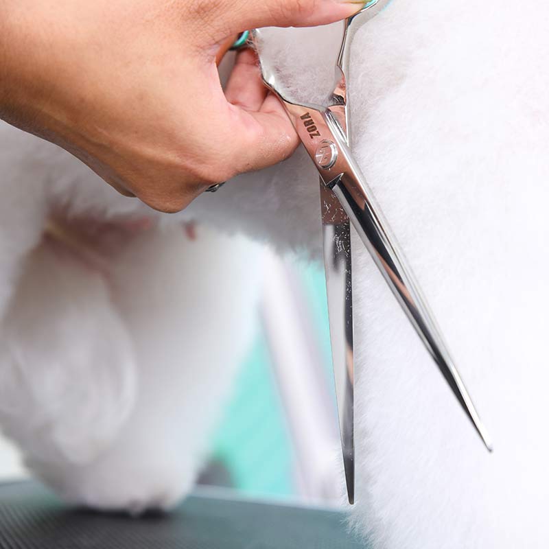 Pet Grooming Shear