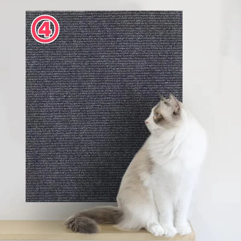 Cats Scratch Board