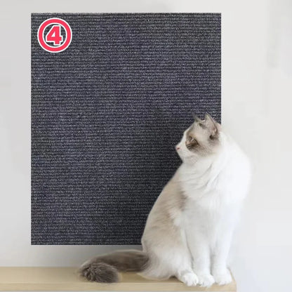 Cats Scratch Board