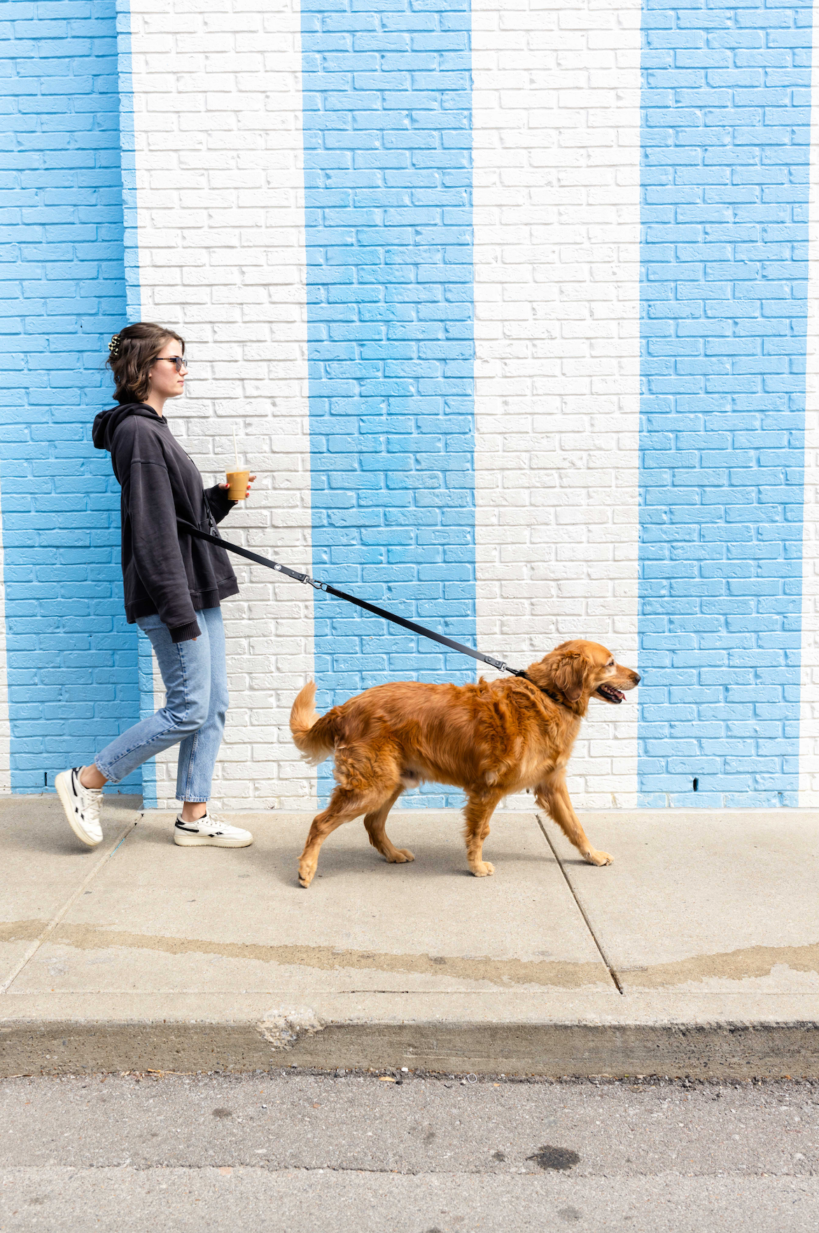 Black Extension Leash
