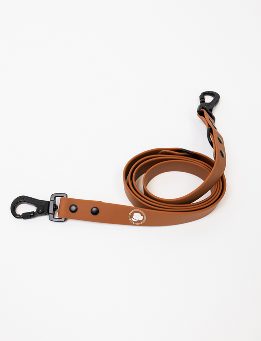 Coco Brown Leash