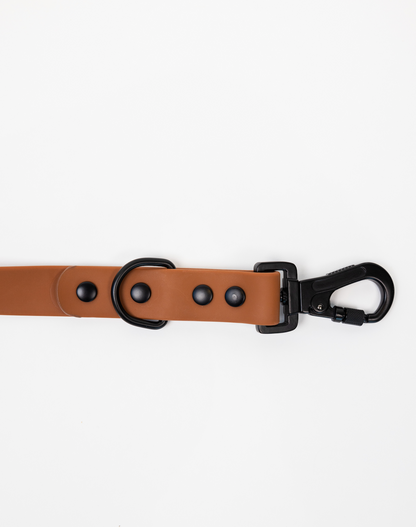 Coco Brown Leash