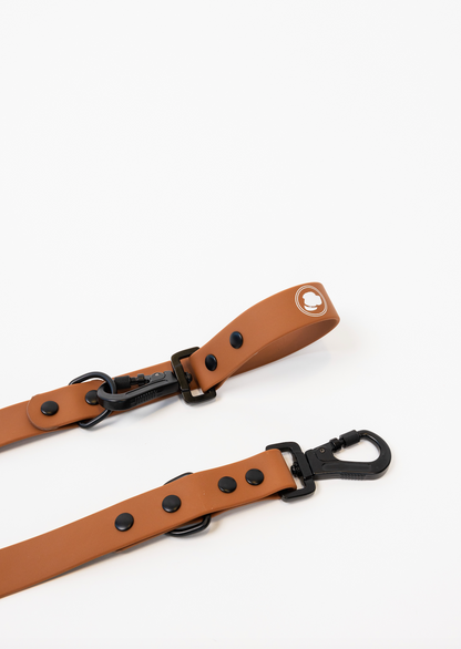 Coco Brown Leash