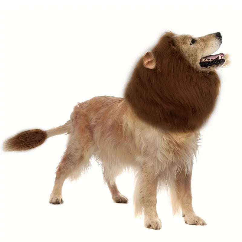 Dog Lion Mane Costume