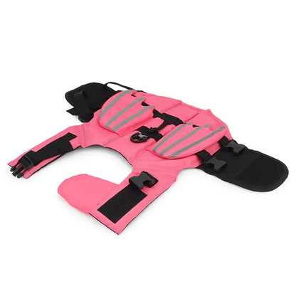 Dragon Wing Dog Life Jacket - Triple Reflective Strips, Foam Buoyancy Panels, Rescue Handle, XS–XXL, Blue Pink Orange