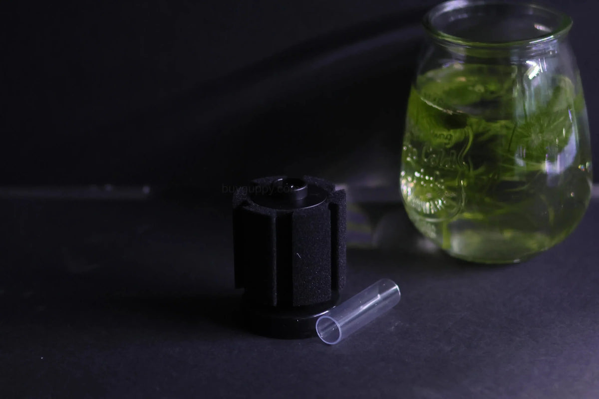 Sponge Filter