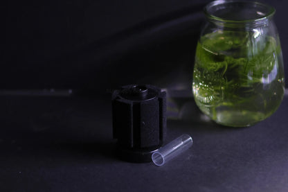 Sponge Filter