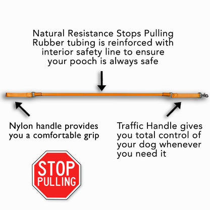 No-Pull Dog Leash