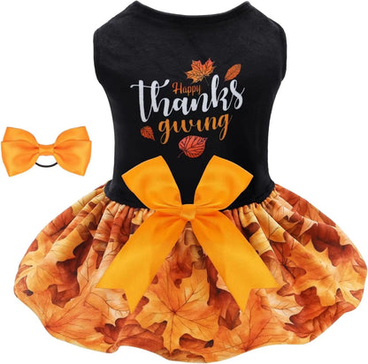 Dog Birthday and Holiday Dress