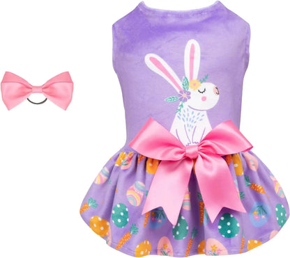 Dog Birthday and Holiday Dress