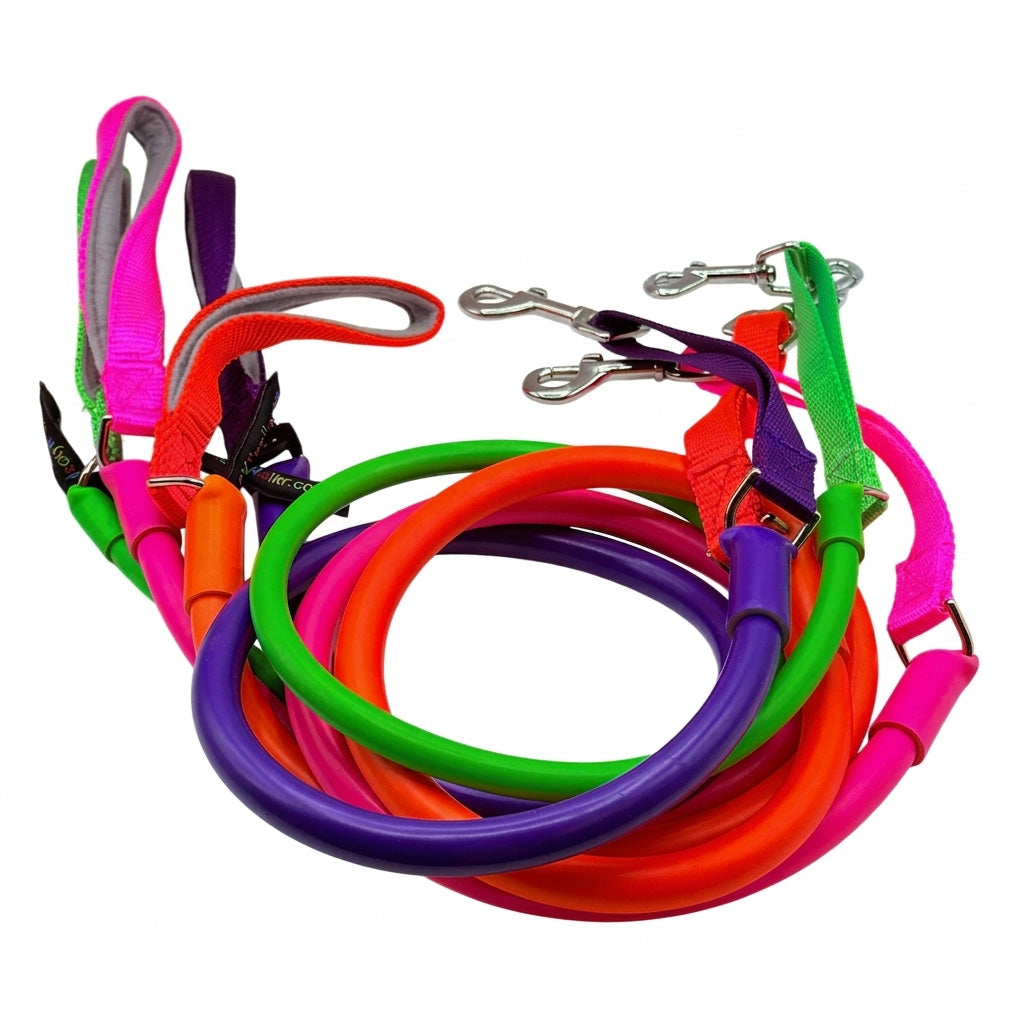 No-Pull Dog Leash