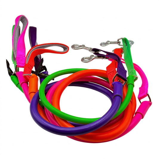 No-Pull Dog Leash