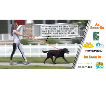 No-Pull Dog Leash