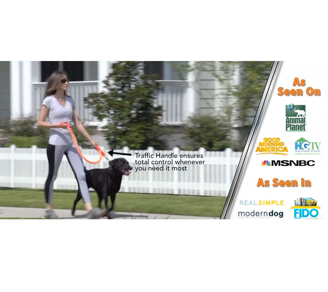 No-Pull Dog Leash