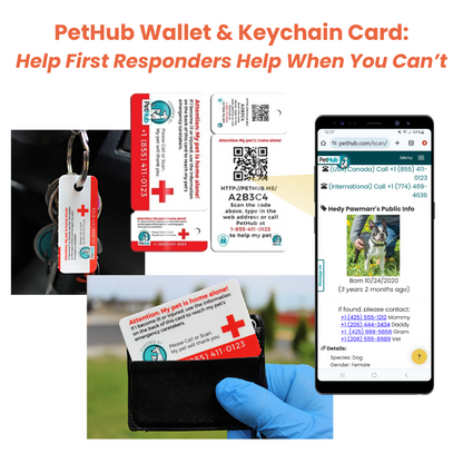 Pet ID  Card