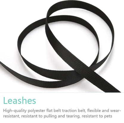 Retractable Dog Leash