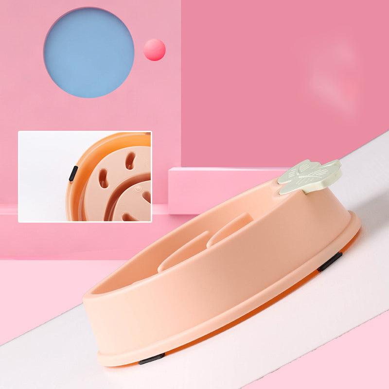 Pet Feeding Bowls