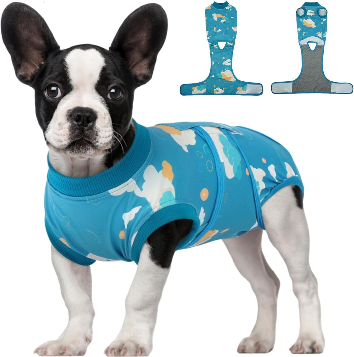 Female Dog Recovery Suit — Post-Spay & Surgery Coverage, Soft & Breathable (XS–2XL)