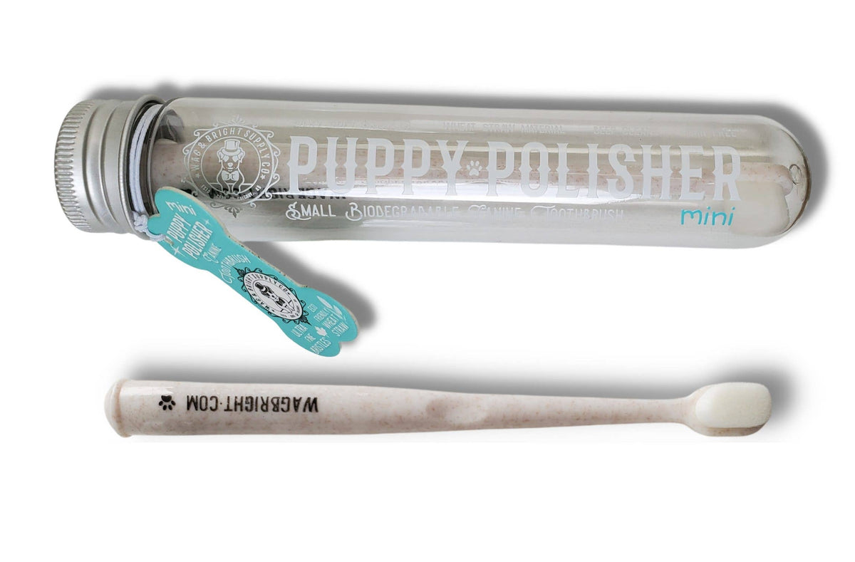 Puppy Polisher Toothbrush
