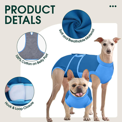 Female Dog Recovery Suit — Post-Spay & Surgery Coverage, Soft & Breathable (XS–2XL)