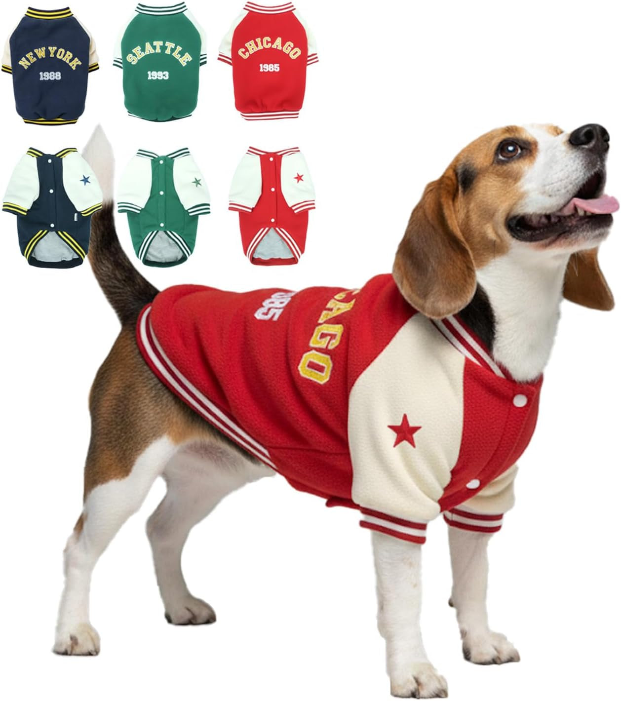 Warm Dog Varsity Jacket