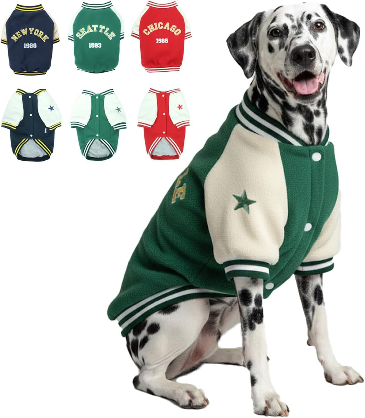 Warm Dog Varsity Jacket