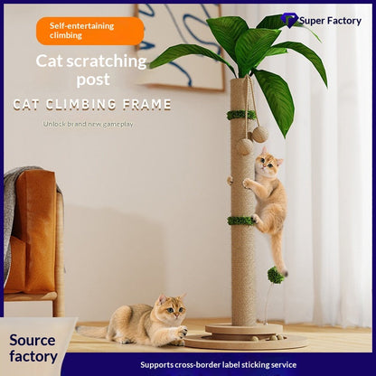 Cat Climbing Frame