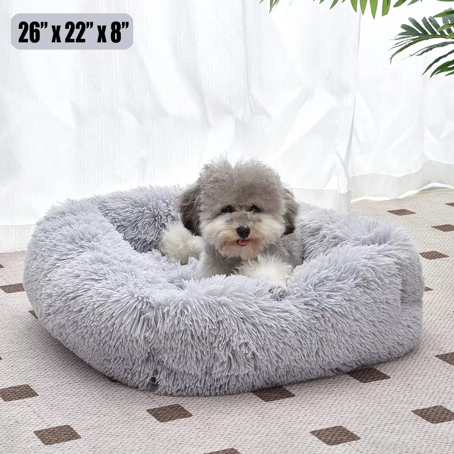 Cat Bed Indoor