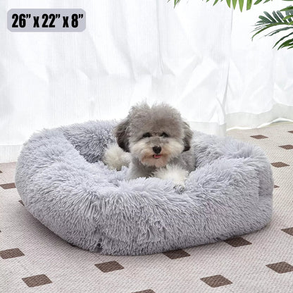 Cat Bed Indoor