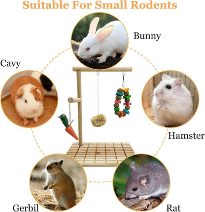 Rabbit Chew Toys