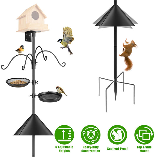 Squirrel Proof Bird Feeder