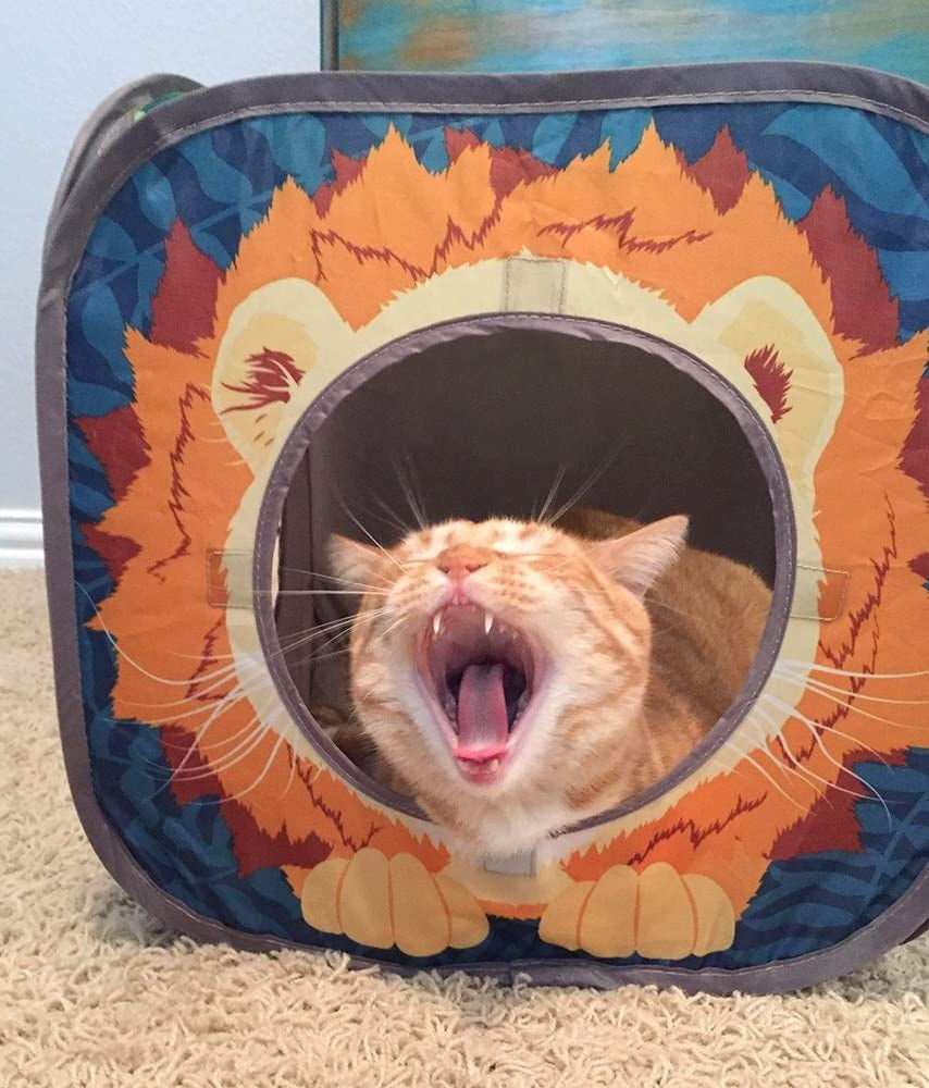 Jungle Cat Cube Combo