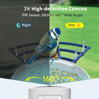 Bird Feeder Camera