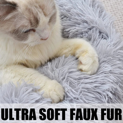 Cat Bed Indoor