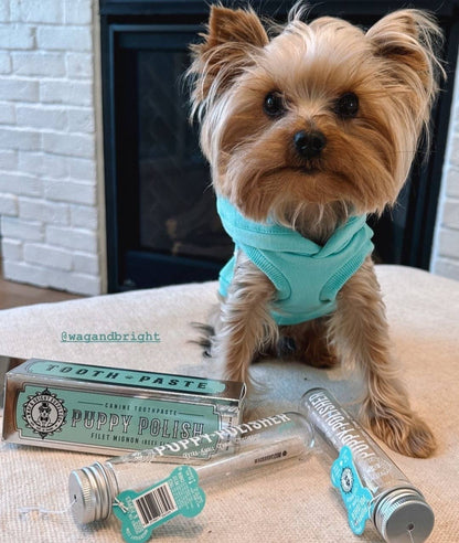 Puppy Polisher Toothbrush