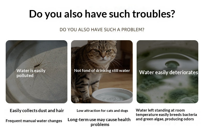 Pet Water Fountain
