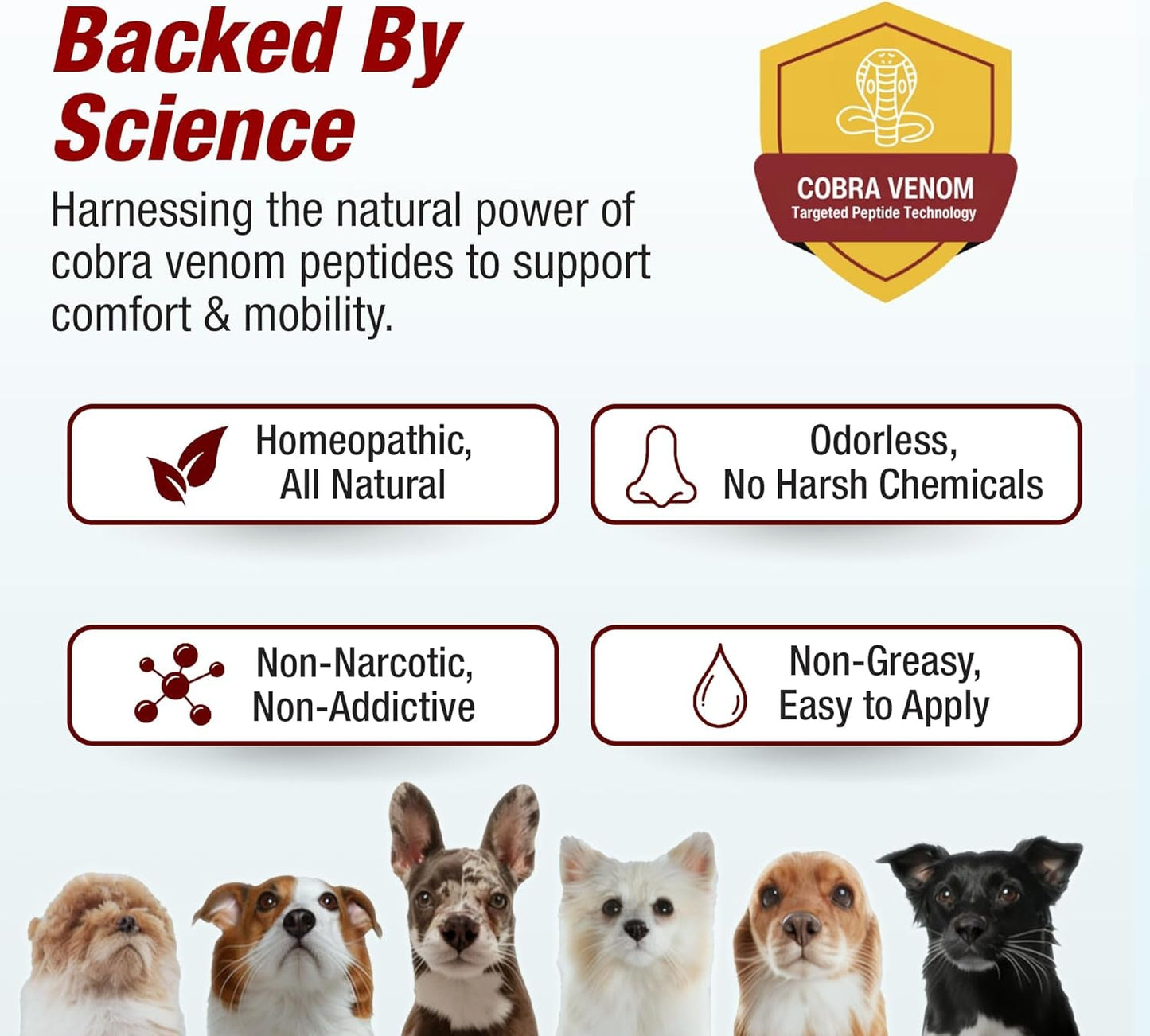 Pet Pain Relief