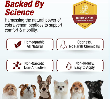 Pet Pain Relief