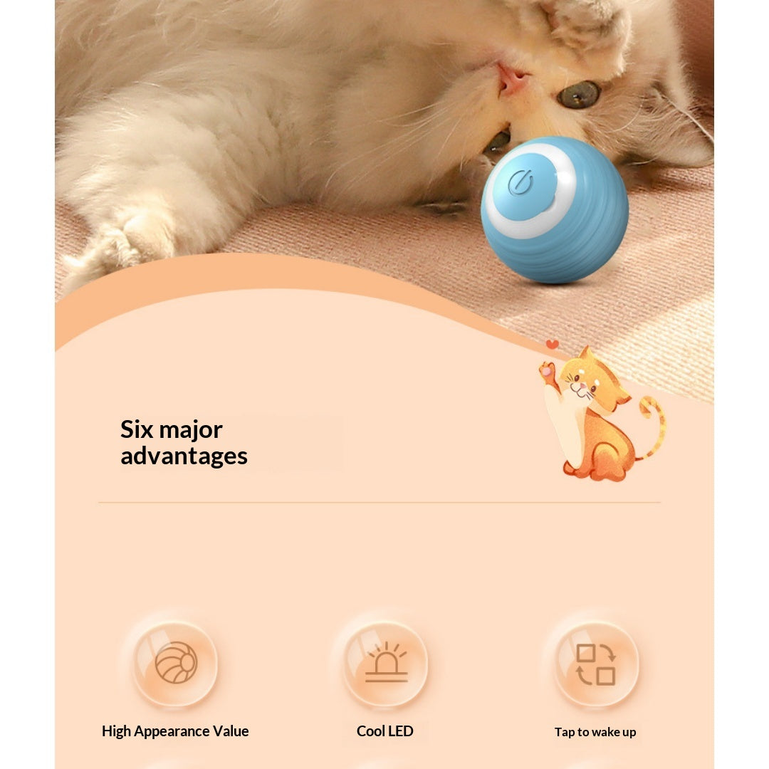 Cat Toy Ball