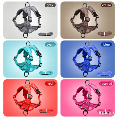 Pet Harness and Leash Set
