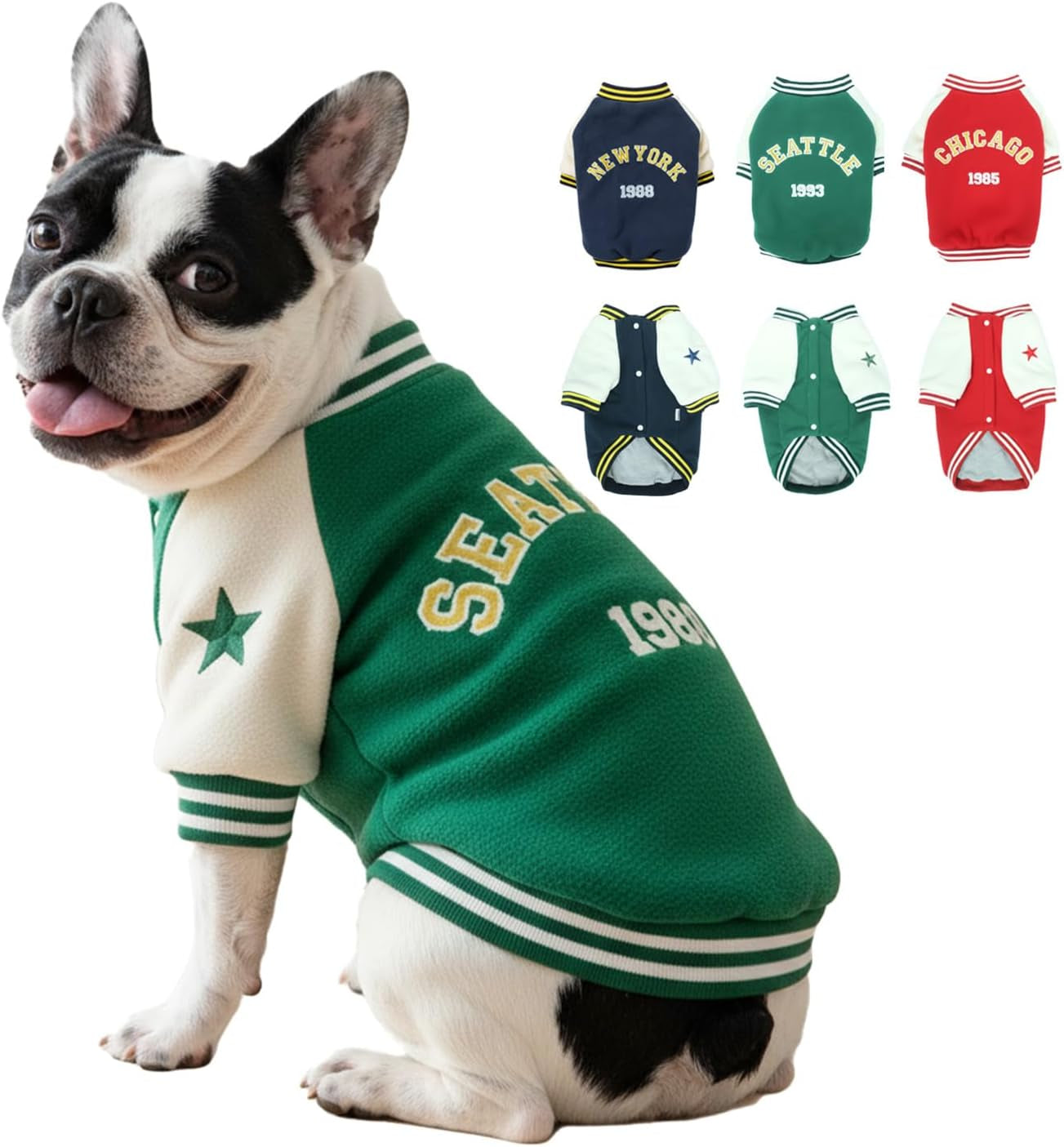 Warm Dog Varsity Jacket