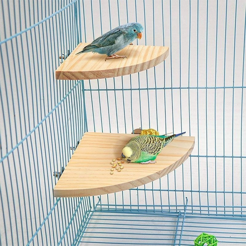 Bird Cage Accessories